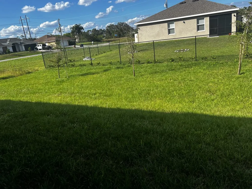 Expert landscaping services in Fort Myers, FL - D&D Lawn Service