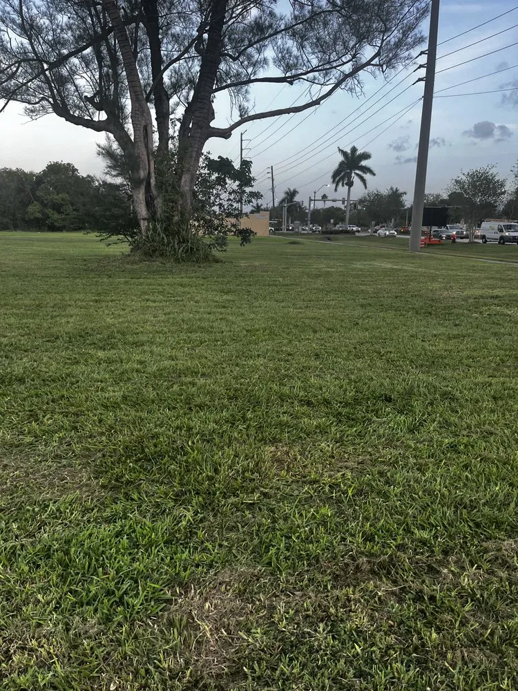 Trusted landscaping services in Fort Myers, FL by D&D Lawn Service