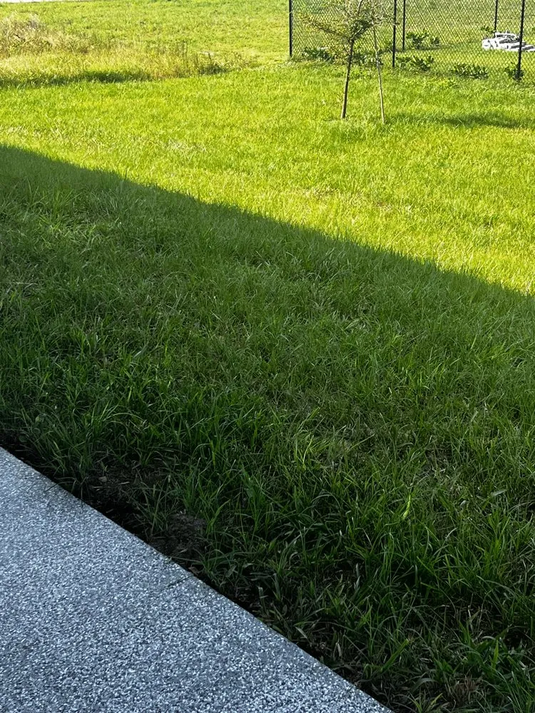 Local landscape design experts serving Fort Myers, FL - D&D Lawn Service