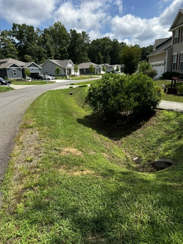 Expert yard maintenance in Ruther Glen, VA - D&D Lawn Service