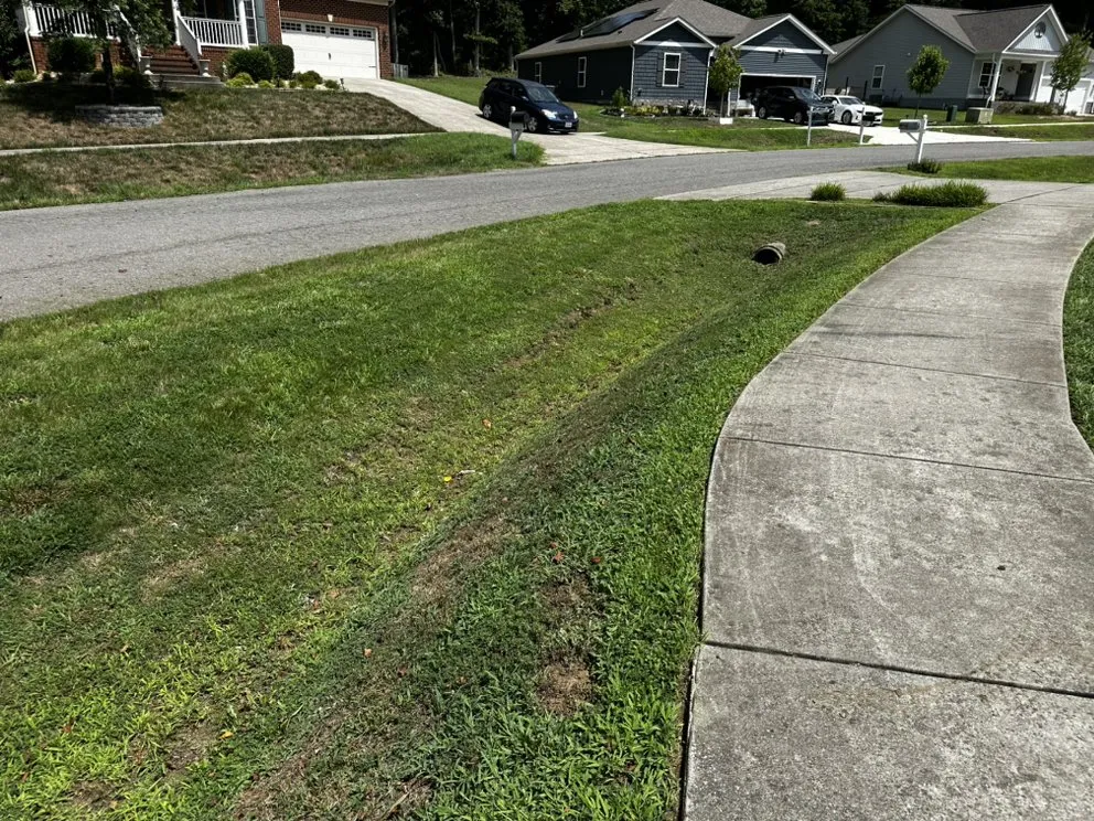 Affordable yard cleanup service for year-round maintenance across Ruther Glen, VA - D&D Lawn Service