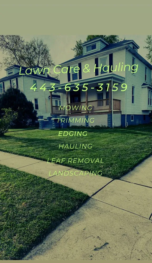 Professional yard cleanup service in Halethorpe, MD by D&D Lawn Services