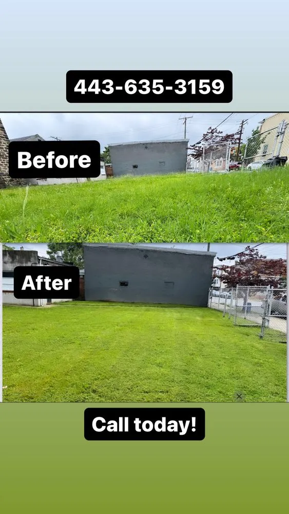Affordable yard cleanup service for outdoor upgrades across Halethorpe, MD - D&D Lawn Services