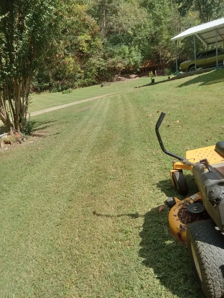 Top-rated outdoor landscaping for beautiful yards in Erwin, TN by D&D Lawncare & Handyman Service