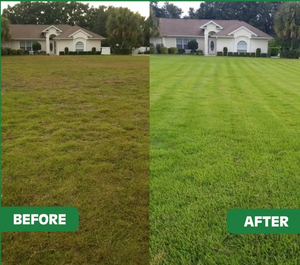 Affordable yard maintenance for homes across Hammond, LA - D&D Lawncare