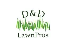Local yard cleanup service for beautiful yards across Waynesville, OH - D&D Lawnpros