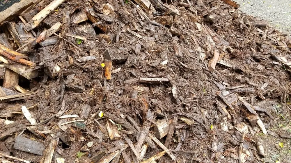 Local lawn care service for outdoor upgrades in Bellingham, MA by D&D Mulch and Landscape