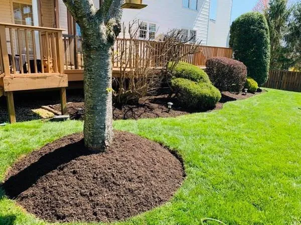 Expert residential landscaping in Columbia, MD by DD renovations