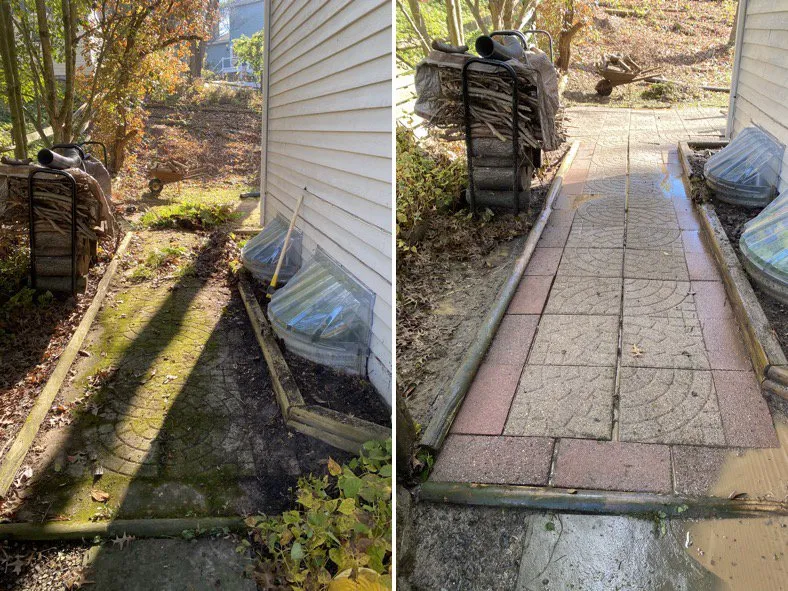 Professional landscaping services for year-round maintenance in Columbia, MD by DD renovations