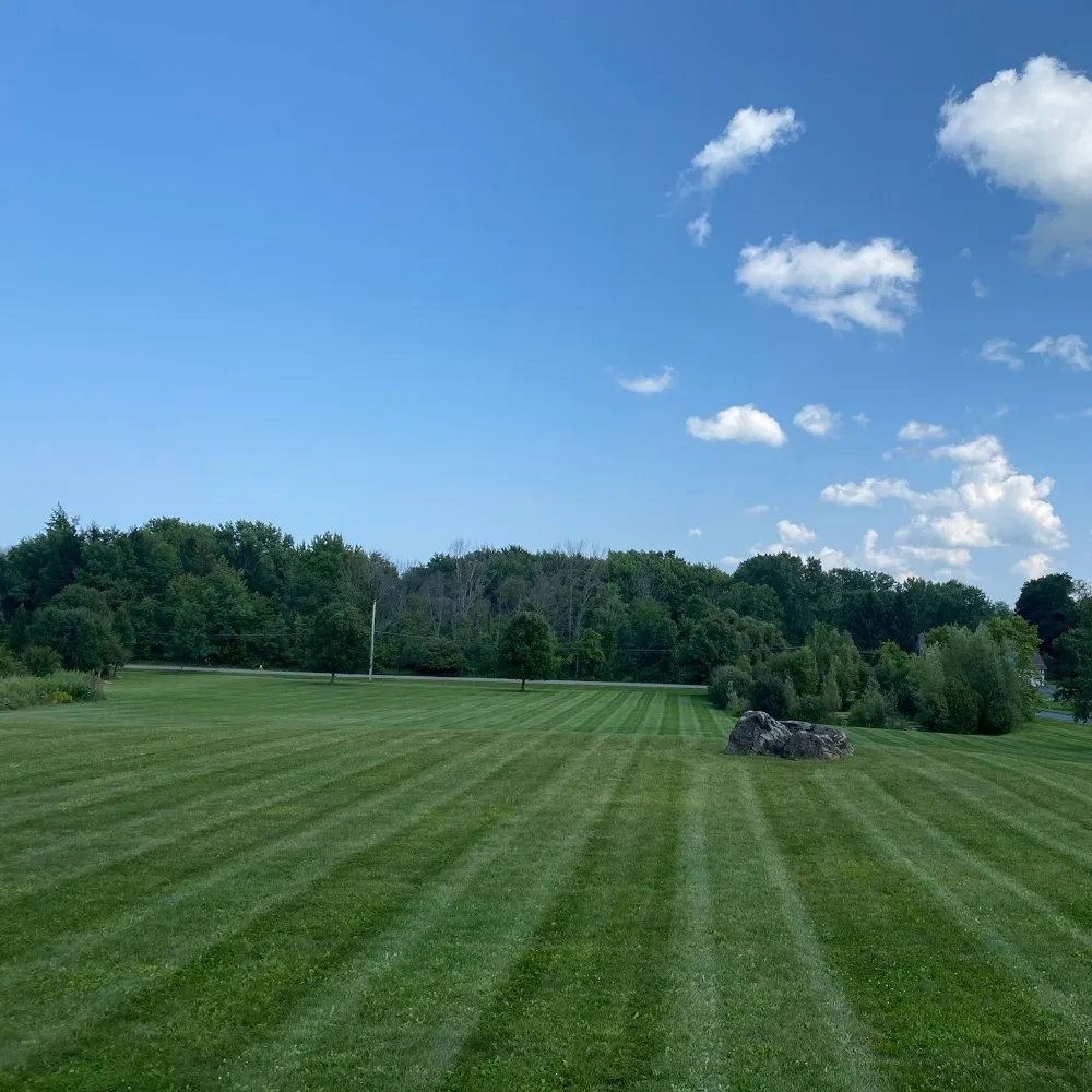Affordable landscape design in Macedon, NY by D&D Services