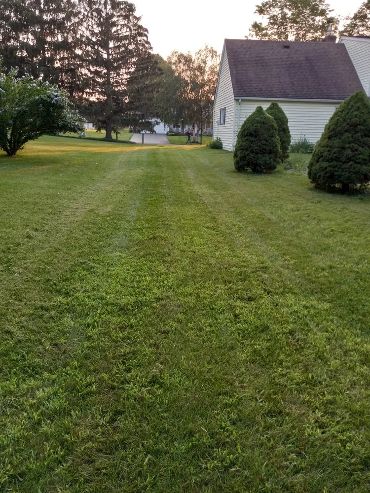 Professional landscape design with custom design across Macedon, NY - D&D Services