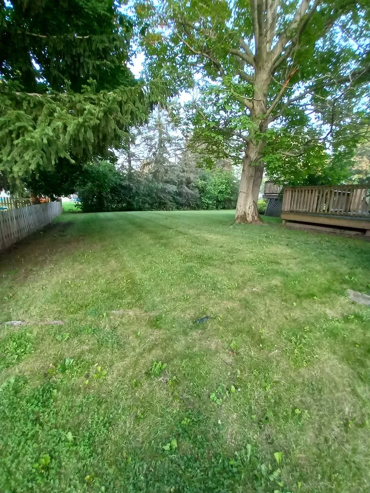 Reliable lawn mowing service in Macedon, NY by D&D Services