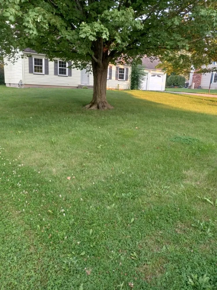 Affordable outdoor landscaping in Macedon, NY - D&D Services