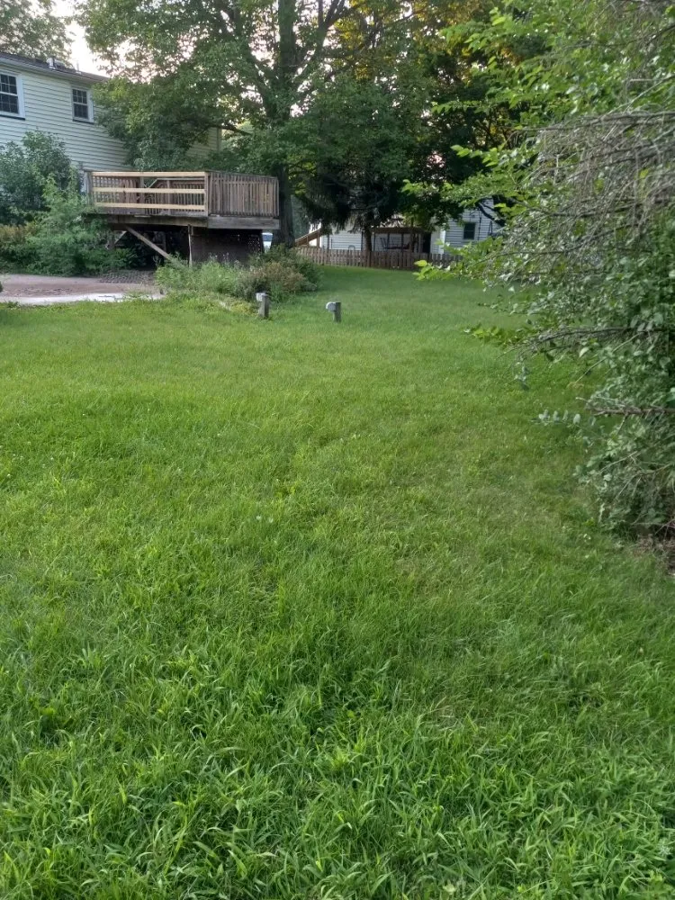 Reliable landscape installation with custom design across Macedon, NY - D&D Services