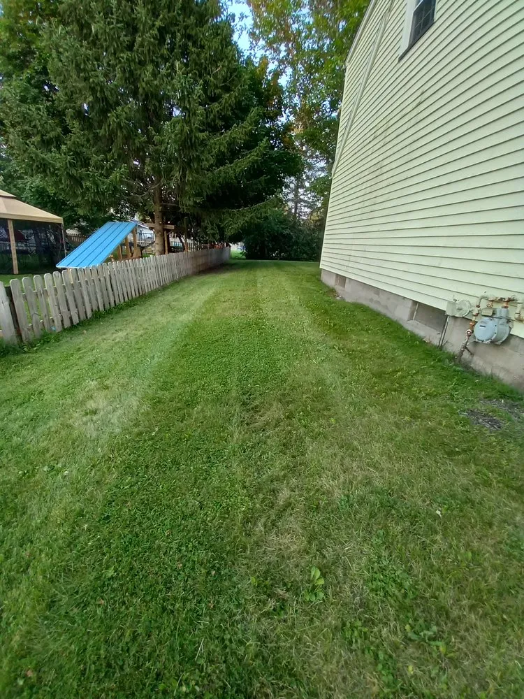 Affordable landscaping services for homes in Macedon, NY by D&D Services