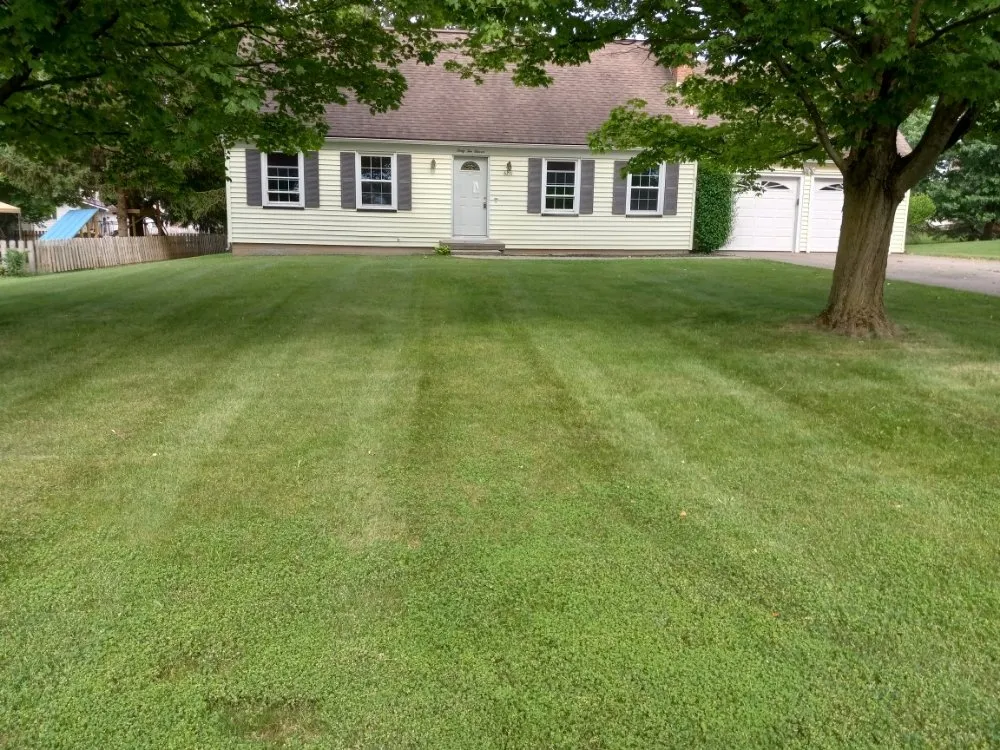 Local outdoor landscaping for homes across Macedon, NY - D&D Services