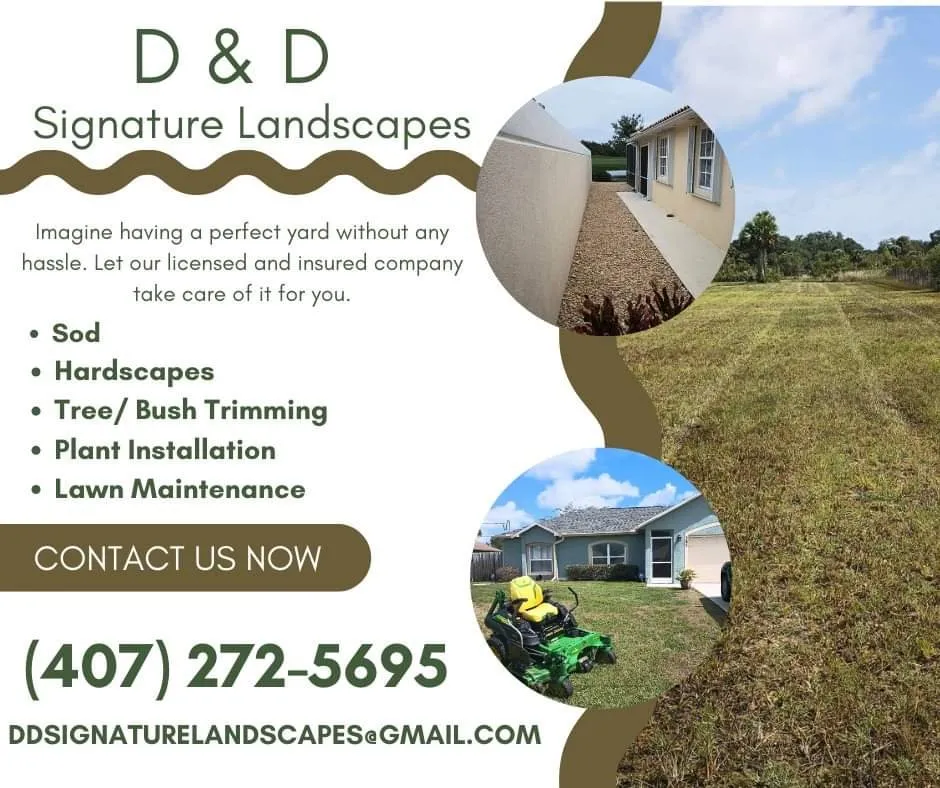 Trusted yard cleanup service in Okeechobee, FL - D&D Signature Landscapes