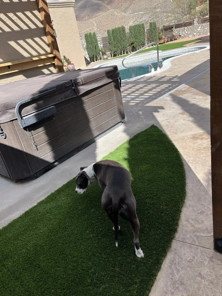 Trusted landscape design in El Paso, TX - DD Turf Artificial Grass