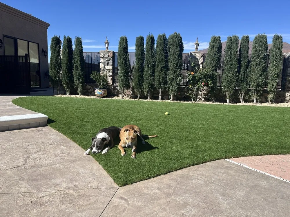 Reliable yard cleanup service with custom design across El Paso, TX - DD Turf Artificial Grass
