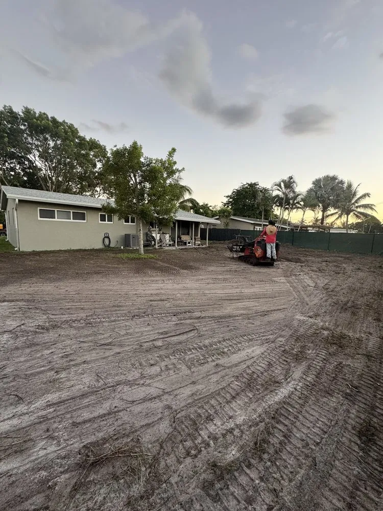 Expert yard cleanup service in Sunrise, FL by DD Waste Removal