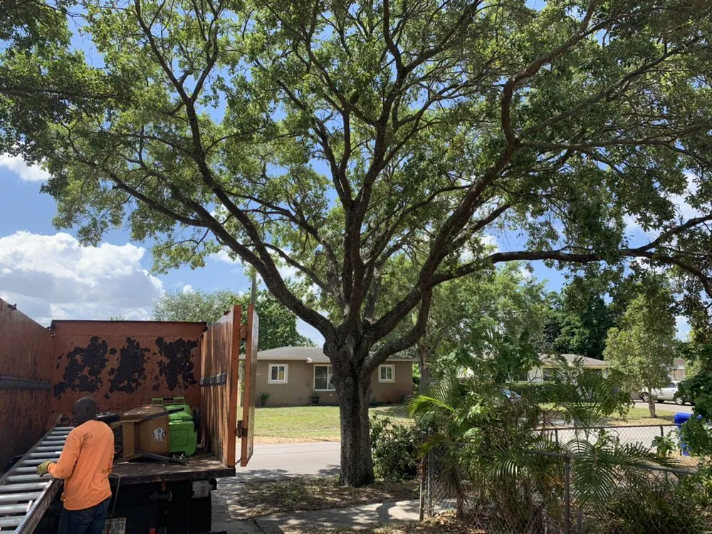 Custom landscape design with custom design across Sunrise, FL - DD Waste Removal