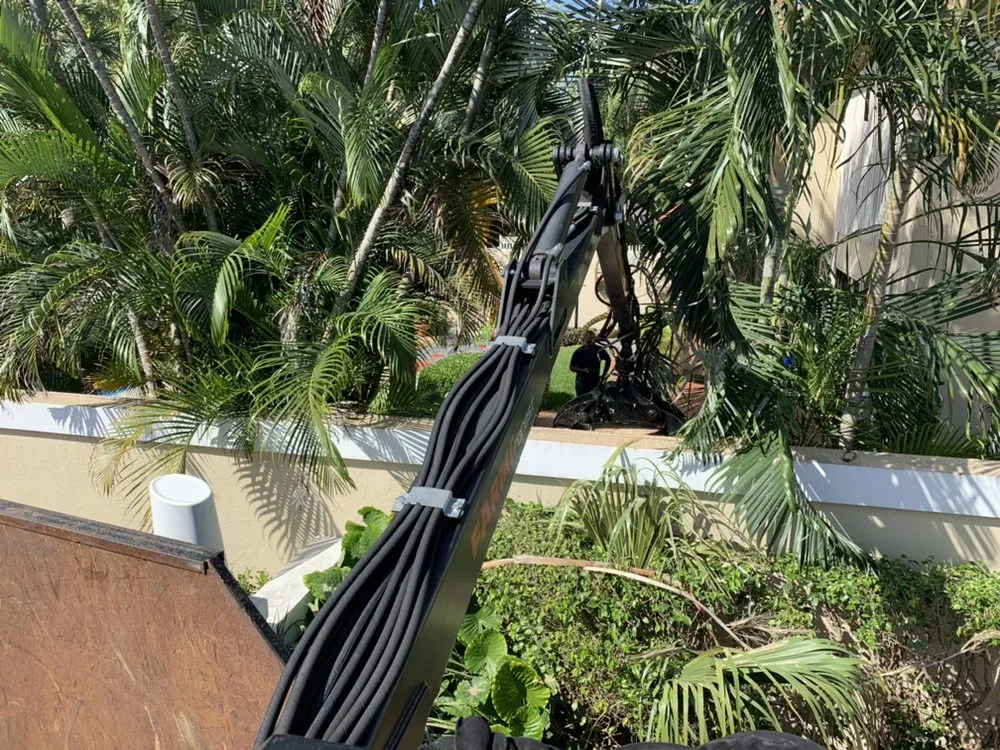 Custom landscaping services experts serving Sunrise, FL - DD Waste Removal