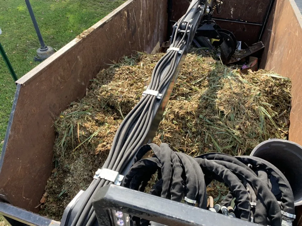 Professional landscape design for outdoor upgrades in Sunrise, FL by DD Waste Removal