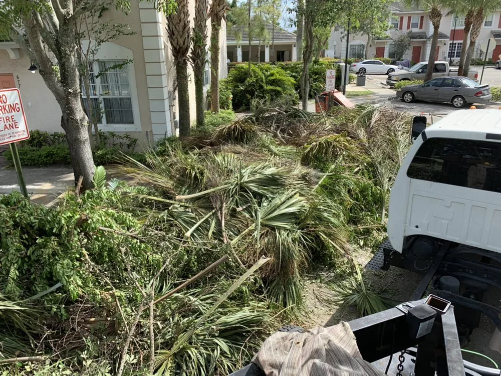 Top-rated lawn mowing service in Sunrise, FL - DD Waste Removal