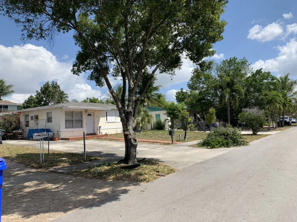 Expert yard cleanup service for year-round maintenance in Sunrise, FL by DD Waste Removal