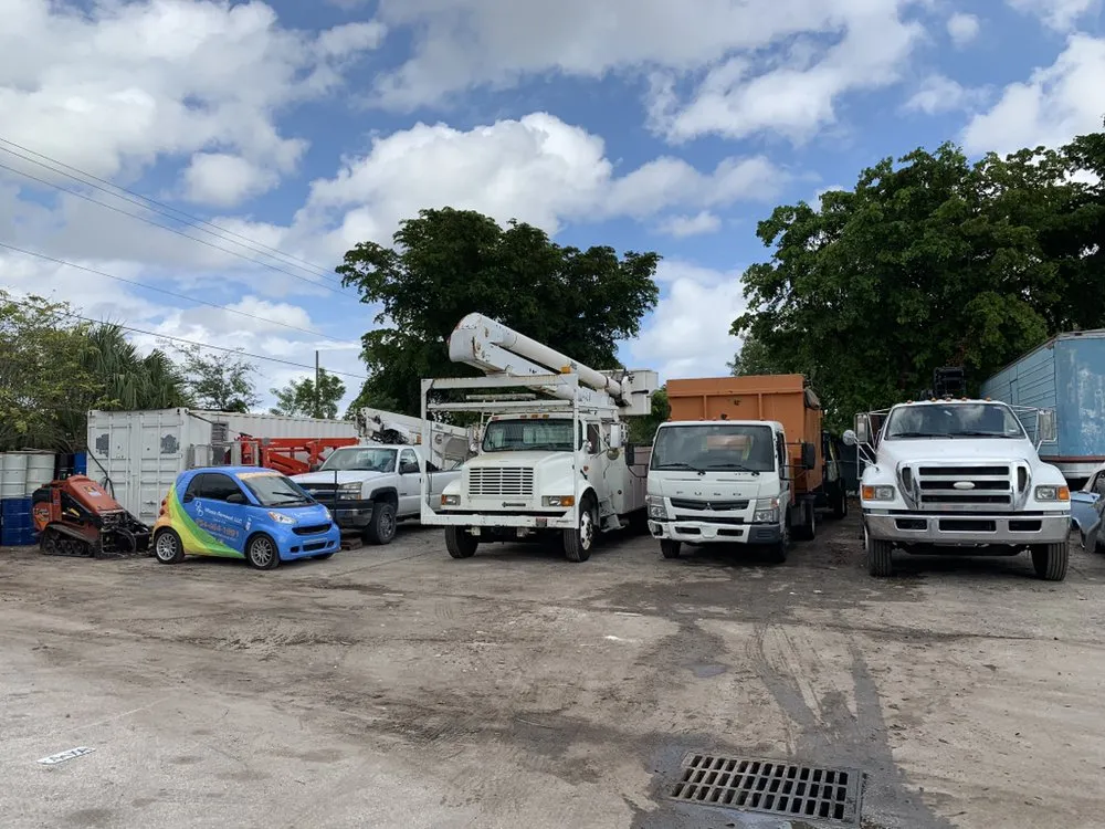 Local landscape installation with custom design in Sunrise, FL by DD Waste Removal