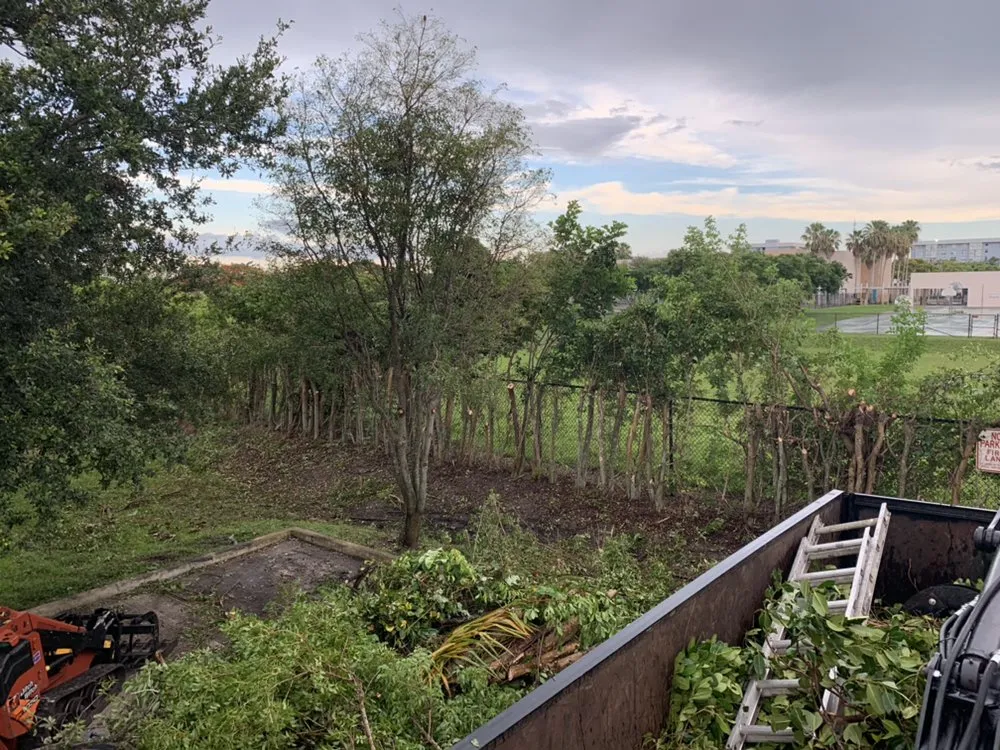 Expert residential landscaping experts serving Sunrise, FL - DD Waste Removal