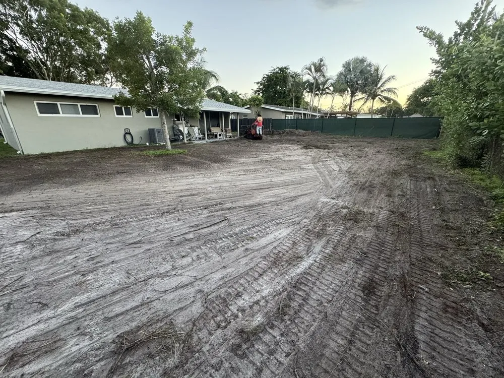 Local landscaping services near you across Sunrise, FL - DD Waste Removal