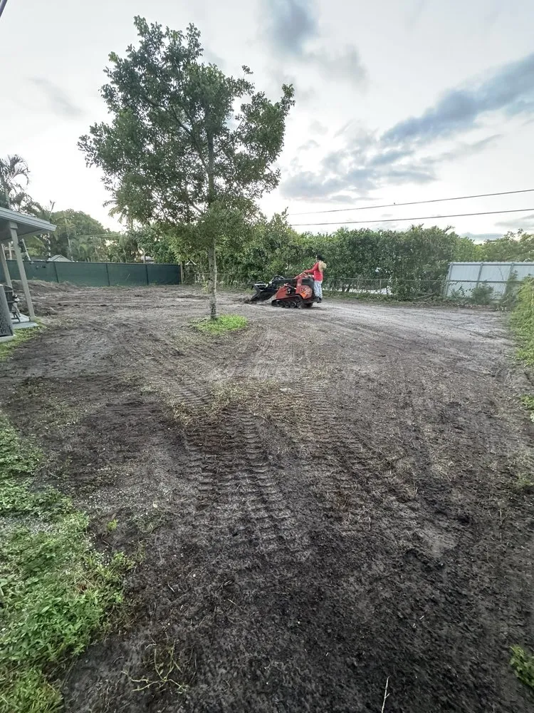 Expert lawn care service in Sunrise, FL - DD Waste Removal