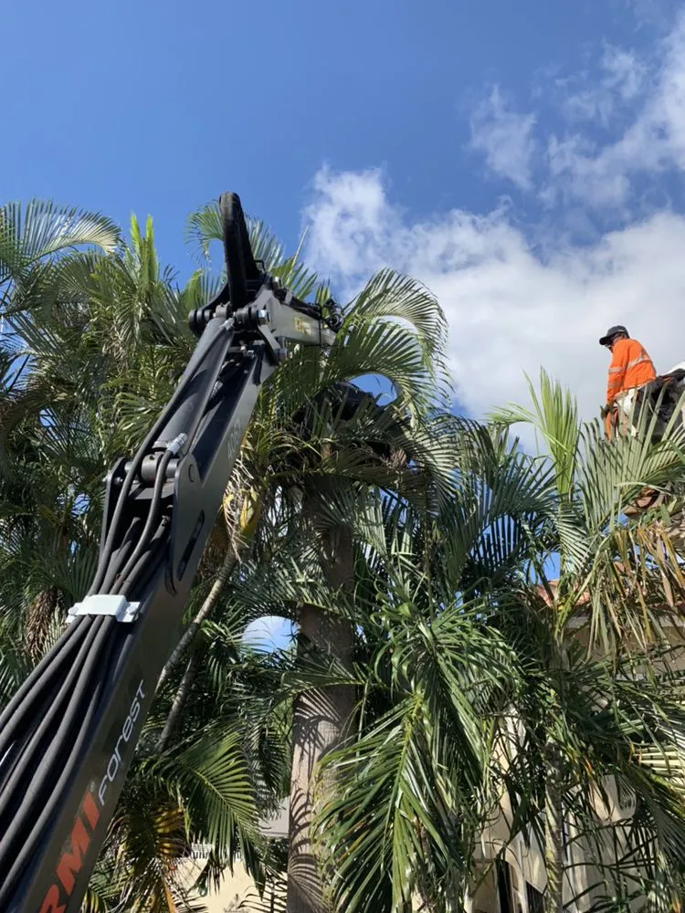 Custom yard cleanup service in Sunrise, FL - DD Waste Removal