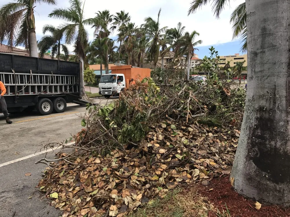 Custom landscaping services experts serving Sunrise, FL - DD Waste Removal