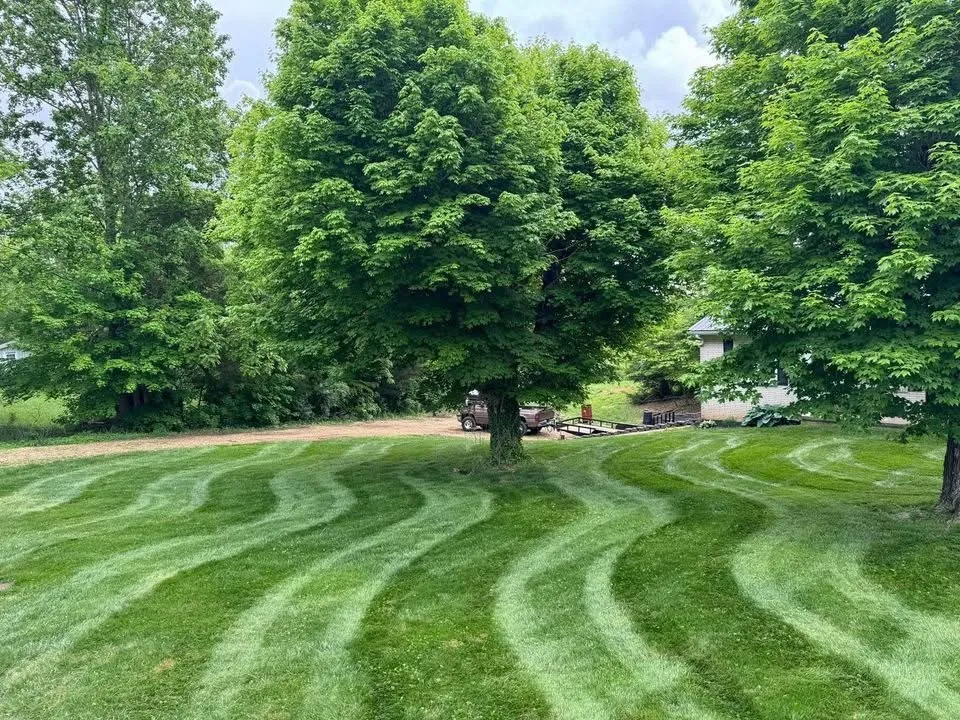 Reliable landscaping services for year-round maintenance in Moss Point, MS by DD214 Lawn Care