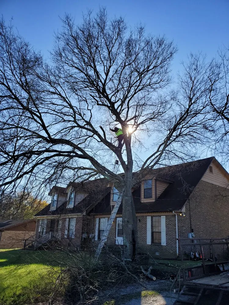 Professional yard maintenance for homes across Culleoka, TN - DD&A Tree Service