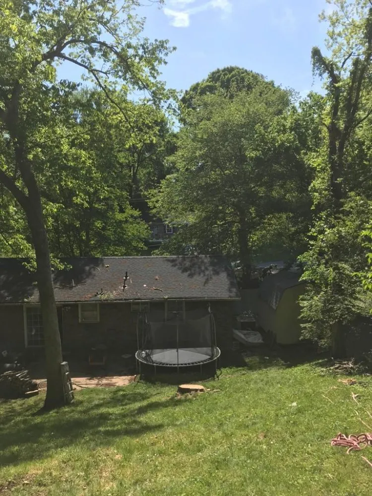 Expert yard cleanup service experts serving Culleoka, TN - DD&A Tree Service
