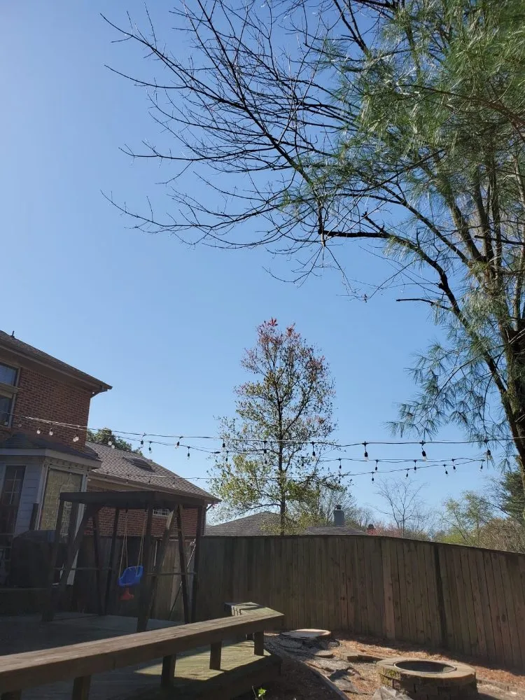 Trusted lawn mowing service for beautiful yards across Culleoka, TN - DD&A Tree Service