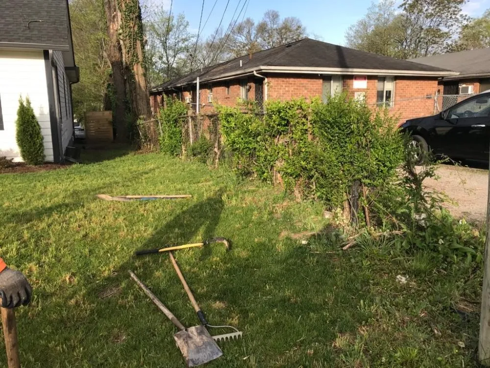 Professional yard cleanup service for homes across Culleoka, TN - DD&A Tree Service