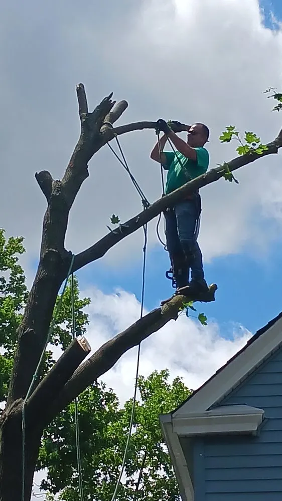 Professional landscaping services near you across Cleveland, OH - DDC Landscaping