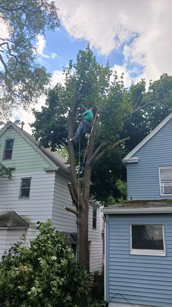 Top-rated yard cleanup service in Cleveland, OH - DDC Landscaping