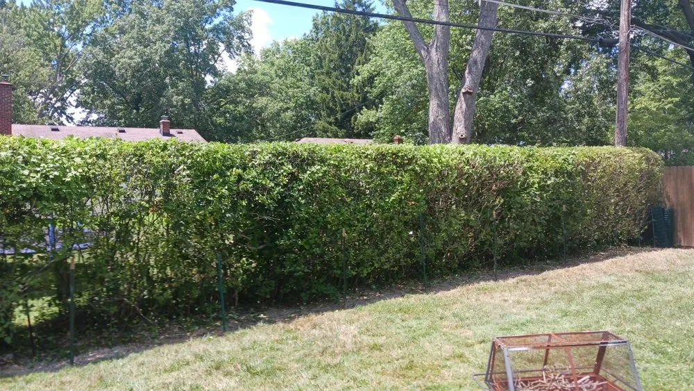 Reliable landscaping services in Cleveland, OH - DDC Landscaping