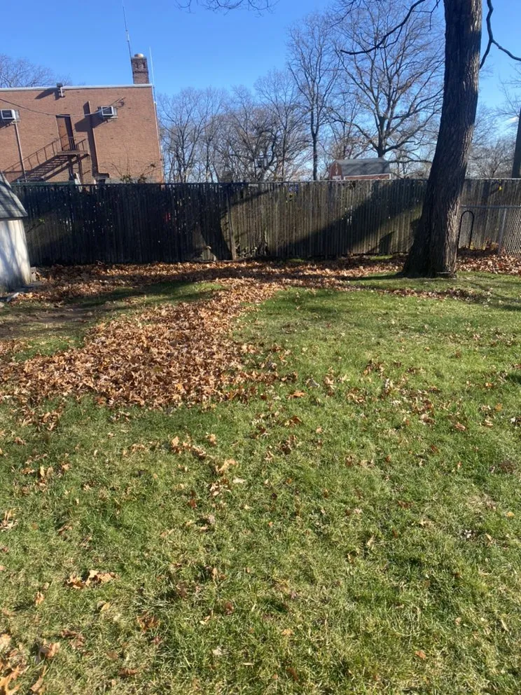 Trusted outdoor landscaping for year-round maintenance across Elizabeth, NJ - DDENI