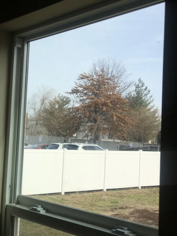 Affordable outdoor landscaping in Elizabeth, NJ - DDENI