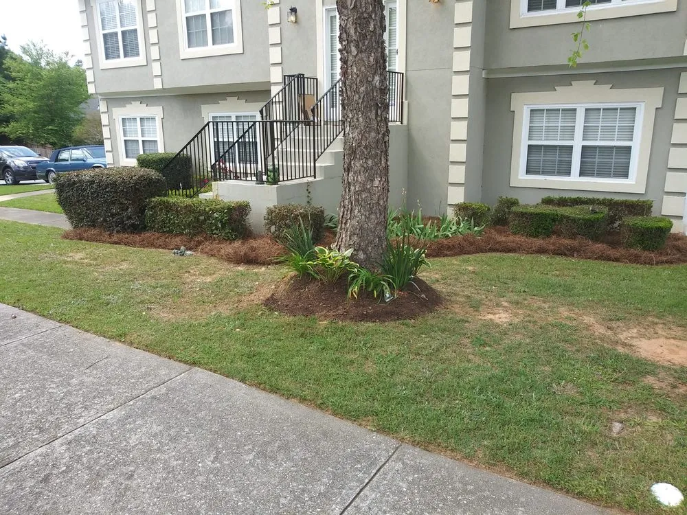 Expert residential landscaping in College Park, GA - DDependable Services