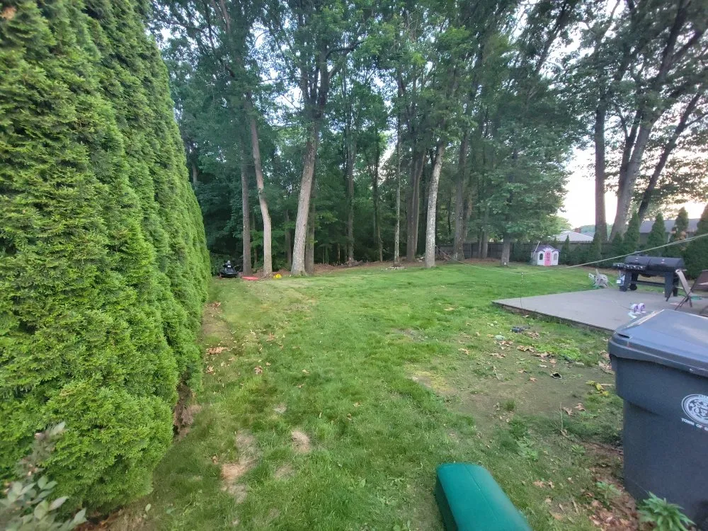 Professional landscaping services for beautiful yards in Enfield, CT by DDF Lawn Care