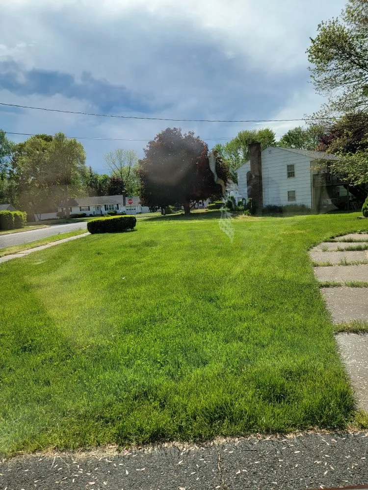Professional yard cleanup service for homes in Enfield, CT by DDF Lawn Care