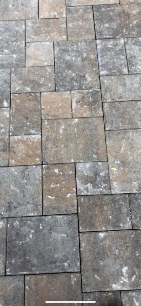 Custom yard cleanup service in Fremont, CA - Ddho Landscaping