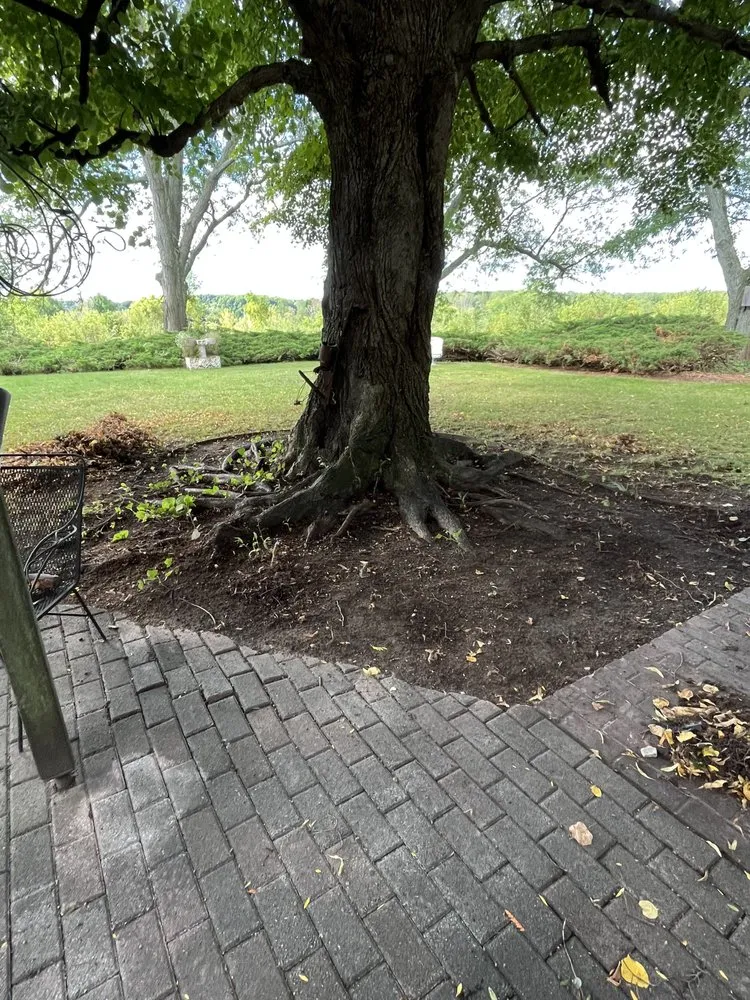 Expert landscape design for year-round maintenance in Grand Rapids, MI by DDJ Maintenance